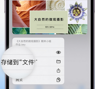 崂山apple维修中心分享iPhone文件应用中存储和找到下载文件