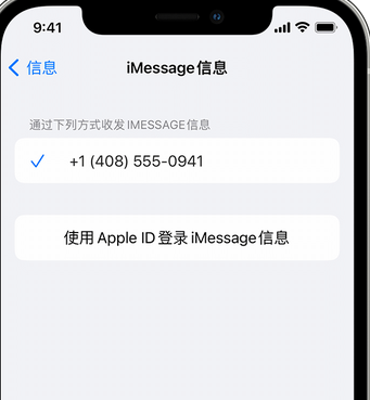 崂山apple维修iPhone上无法正常发送iMessage信息 