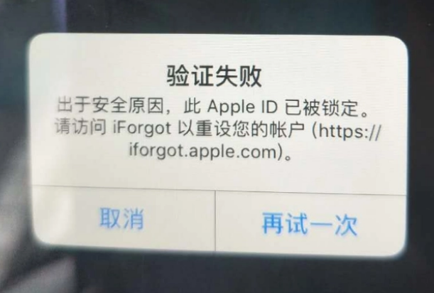 崂山iPhone维修分享iPhone上正常登录或使用AppleID怎么办 