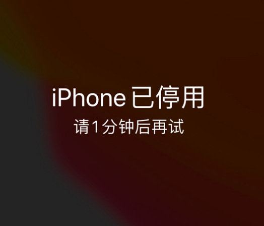 崂山苹果手机维修分享:iPhone 显示“不可用”或“已停用”怎么办？还能保留数据吗？ 