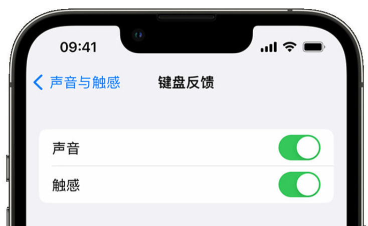 崂山苹果手机维修分享iPhone 14触感键盘使用方法 