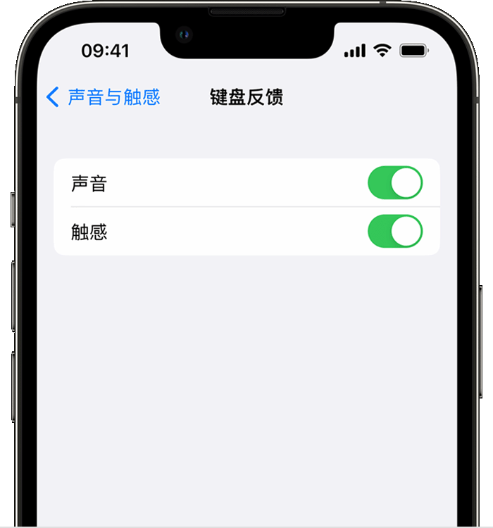 崂山苹果14维修店分享如何在 iPhone 14 机型中使用触感键盘 