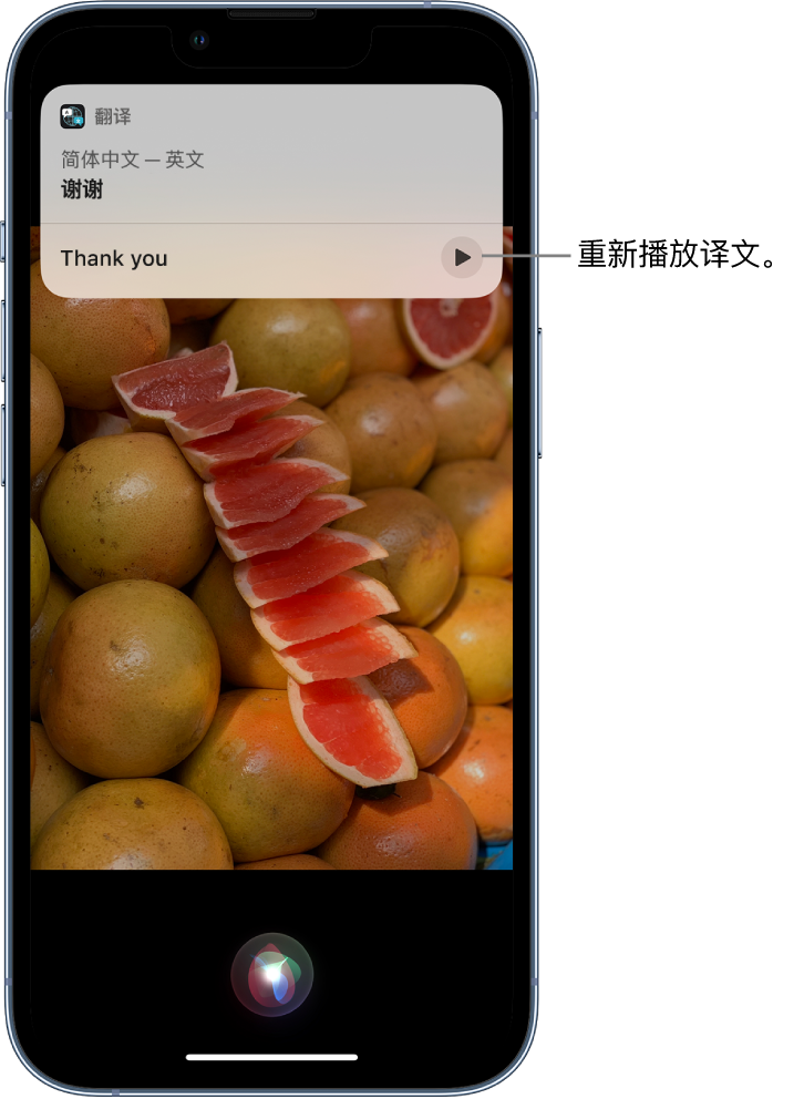 崂山苹果14维修分享 iPhone 14 机型中使用 Siri：了解 Siri 能帮你做什么 