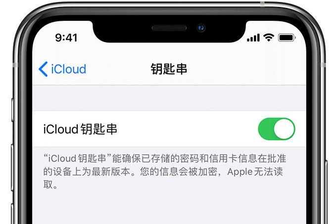 崂山苹果手机维修分享在 iPhone 上开启 iCloud 钥匙串之后会储存哪些信息 