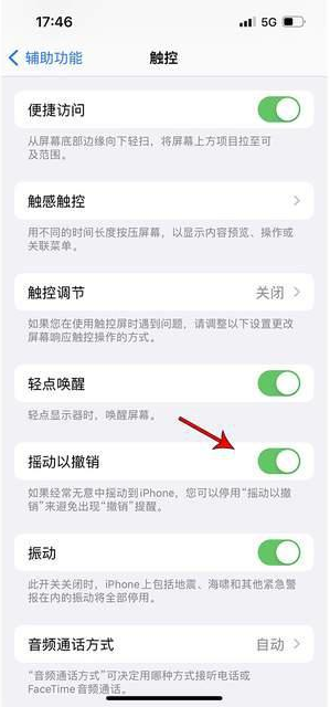 崂山苹果手机维修分享iPhone手机如何设置摇一摇删除文字 